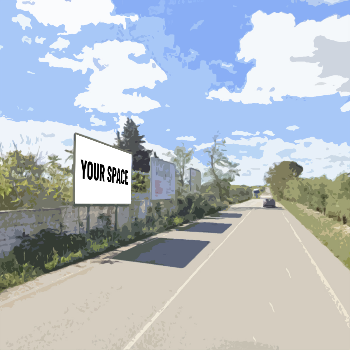 SPAZIO PUBBLICITARIO 600 x 300 Via Casamassima (CAPURSO) Dal 19/10/2026 al 01/11/2026 14 giorni